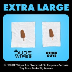 LiL&rsquo; DUDE Flushable Wipes, Extra Large Fragrance Wet Wipes, 252 Count, 6 Pack