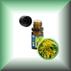 Cassie Sweet (Acacia Farnesiana) Absolute Oil