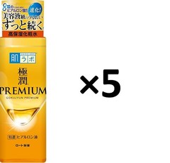 Hadalabo Gokujyun Premium ROHTO Hyaluronic Acid 170ml 5PCS set