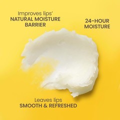 Burt&rsquo;s Bees 100% Natural Moisturizing Lip Balm (Original Beeswax)