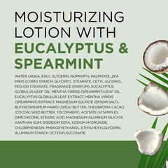 Dr Teal&rsquo;s Eucalyptus Spearmint Body Lotion 18 Fl Oz Pack of 3 Moisturizer