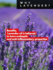 2.5 oz ECZEMA PSORIASIS  SKIN CARE PRODUCT SHINGLES SKIN RASH LAVENDER HEMP