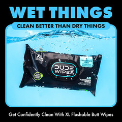 Wipes – Flushable Wipes Stocking Stuffers – 1 Pack, 48 Count – Unscented – Vitam
