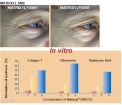 2 OZ. HYALURONIC ACID CREAM INFUSED WITH DERMAXYL & MATRIXYL 3000