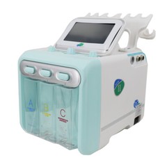 6 In 1 Facial Care Machine Hydrogen and Oxygen Small Bubble Machine AC110V 200W