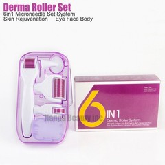 6 in 1 Derma Roller Micro Pin Roller Scars Wrinkle Anti-Aging Skin Care Kit Set