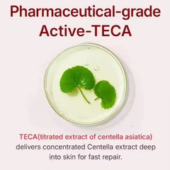 CENTELLIAN24 Madeca Cream Time Reverse 50mL /1.69 OZ. (Season 7) Exp 03/2027View