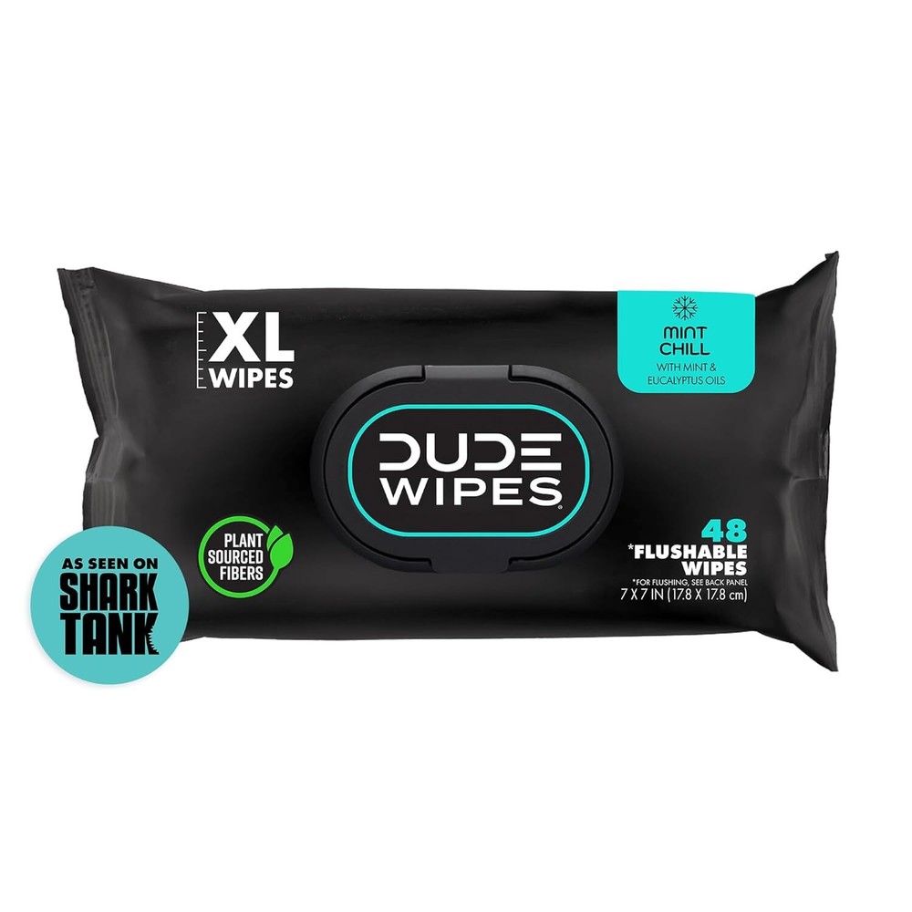 DUDE Wipes Flushable Wet Wipes Dispenser, Mint Chill, 48Count