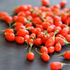 natural antioxidant complex – GOJI BERRY 40% EXTRACT liver cleanse and detox 1B