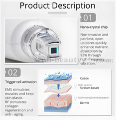 3-in-1 No-Needle Mesotherapy RF Skin Rejuvenation Facial Beauty Machine Salon