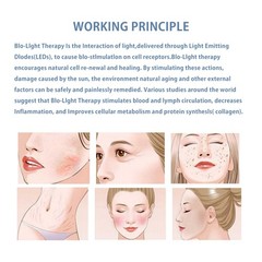 7Colors BIO PDT LED Light Photon Therapy Facial Skin Rejuvenation Beauty Machine