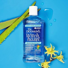 T.N. Dickinson&rsquo;s Witch Hazel Alcohol Free 16 Ounce (Pack of 1), Clear