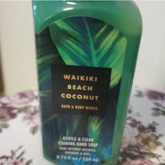 Bath & Body Lotion & Foam Hand Soap