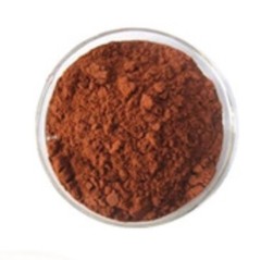 Green Tea Powder Extract Powder Unisex Egcg Antioxidant Healthy 1g