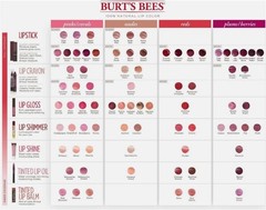 2 PACK – Burt&rsquo;s Bees 100% Natural Moisturizing Lip Shine – Pick Your Shade