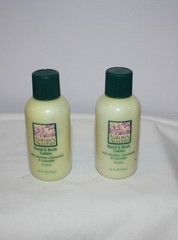 2 Freesia Nature&rsquo;s Accent Hand & Body Lotion Aloe Vera, Chamomile, Cucumber