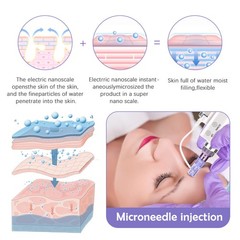 Electric Nano Water Gun And Replacement Pins/Tube Anti-aging Facial Care Machine