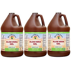 Lily of the Desert Aloe Vera Gel – Inner Fillet 128 fl. oz Each (Pack of 3)