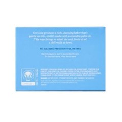 4 Ounce Pack of 4 Skin Cleaning Agent Gentle Cleanser with Citrus Scent