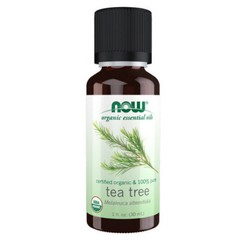 Organic Tea Tree Oil 1 OZ By Now Foods