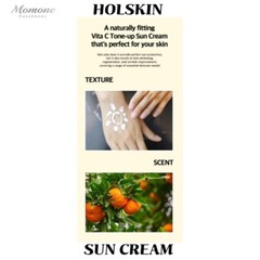 [K-Beauty] Holskin Vita C Dark Spot Care Tone-up 55ml Sun Cream