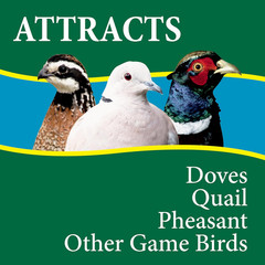 Dove & Quail Food, 10 Lb