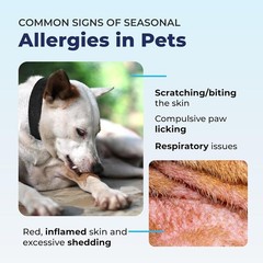 Vetnique Dermabliss Anti Itch Spray for Dogs & Cats with Hydrocortisone 4oz